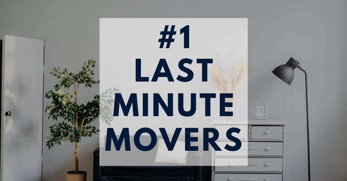#lastminute #movers