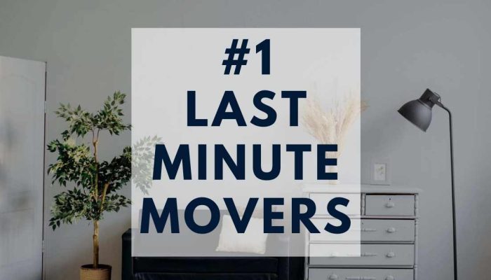 #lastminute #movers